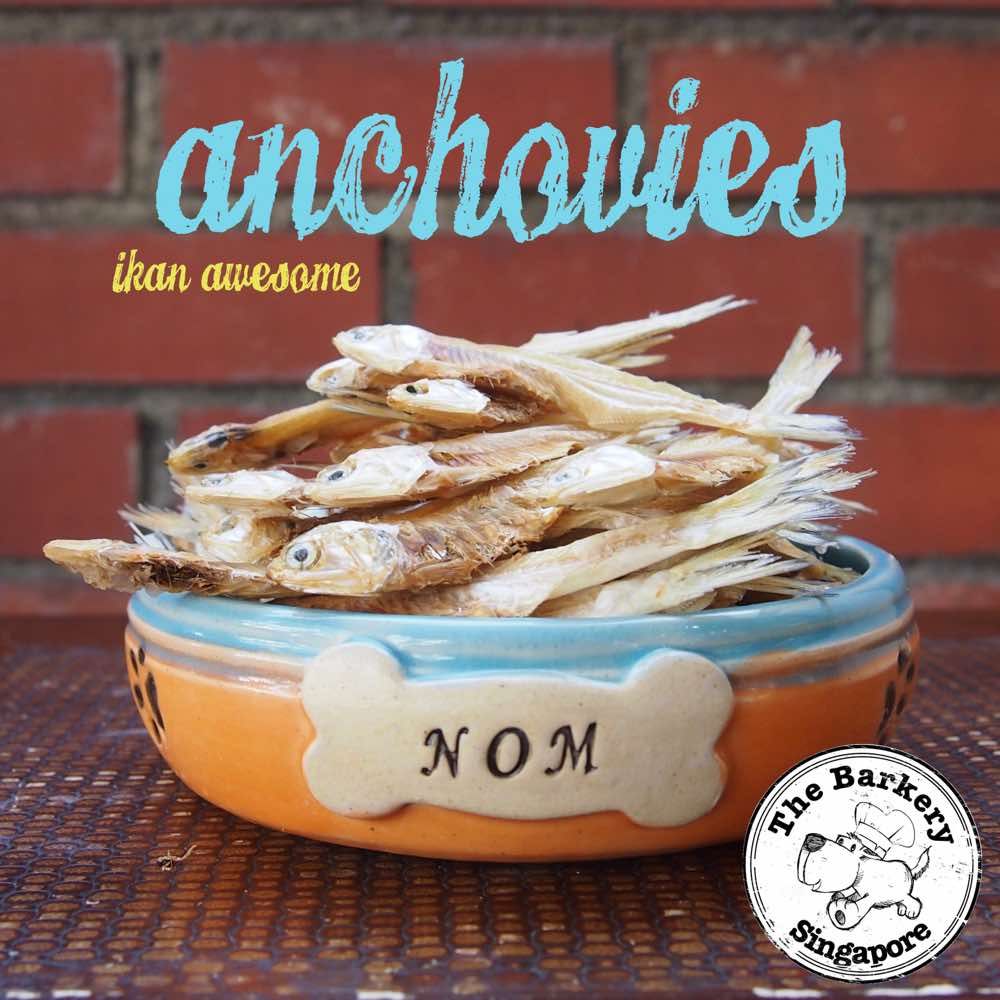 The Barkery Anchovies Dehydrated Dog Treats
