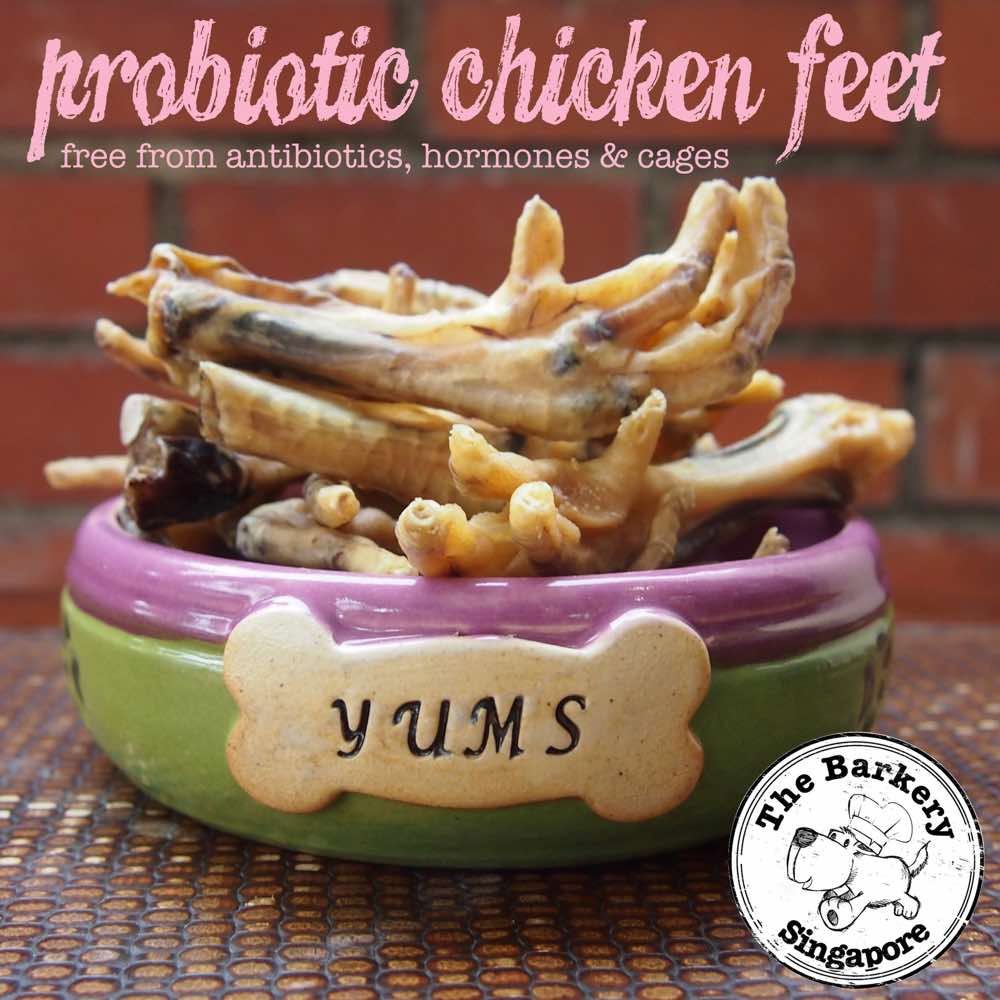 The Barkery Probiotic Chicken Feet Dehydrated Dog Treats 100g