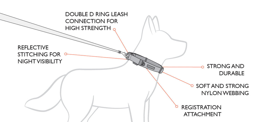 EzyDog Double Up Dog Collar - Small