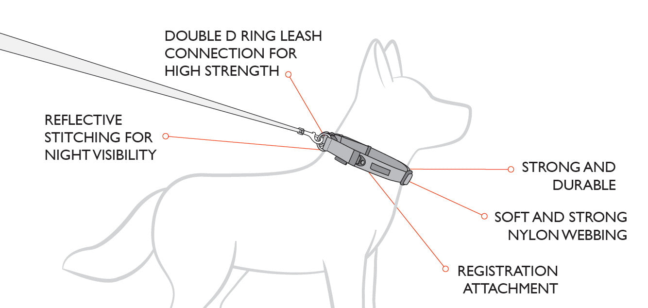 EzyDog Double Up Dog Collar - Small