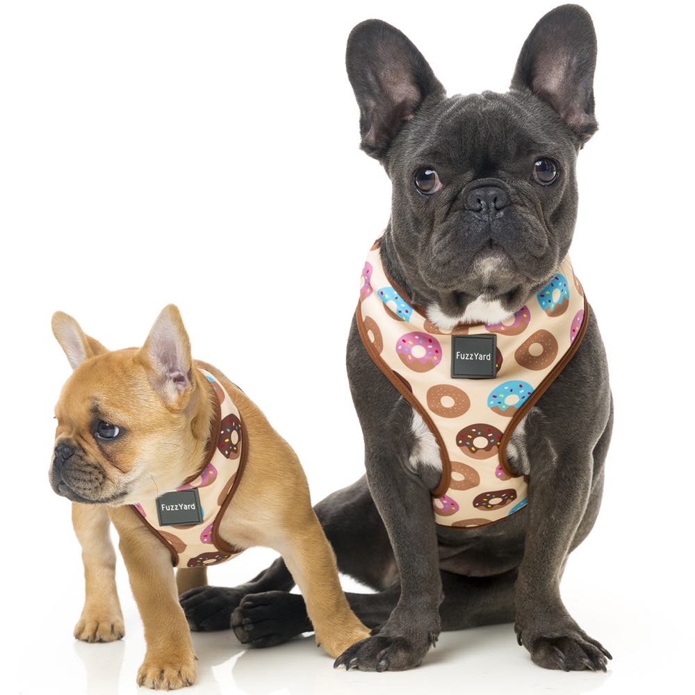 FuzzYard Step-in Dog Harness (Go Nuts)
