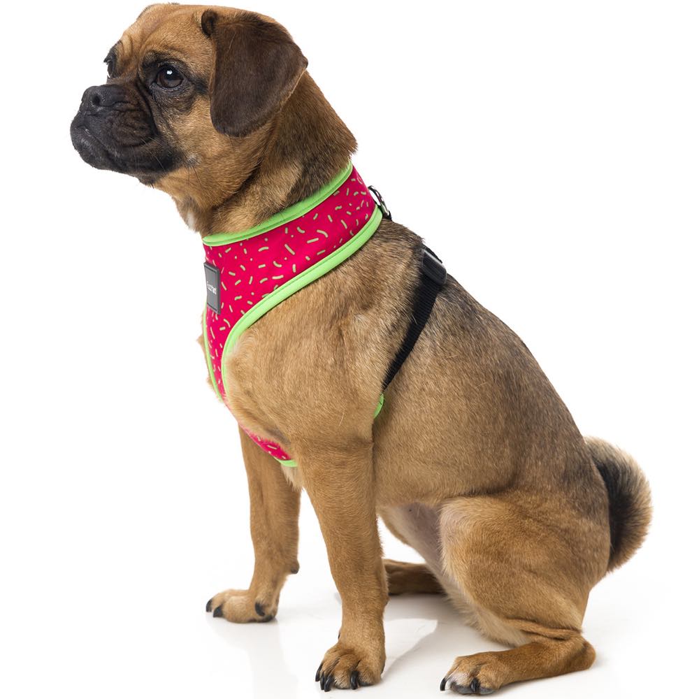 FuzzYard Juicy Dog Harness