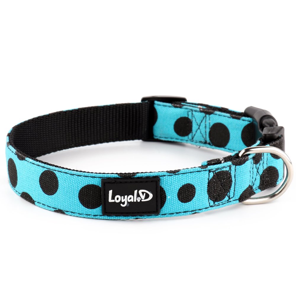 Loyal.D Cotton Canvas Dog Collar - Get Spott.D