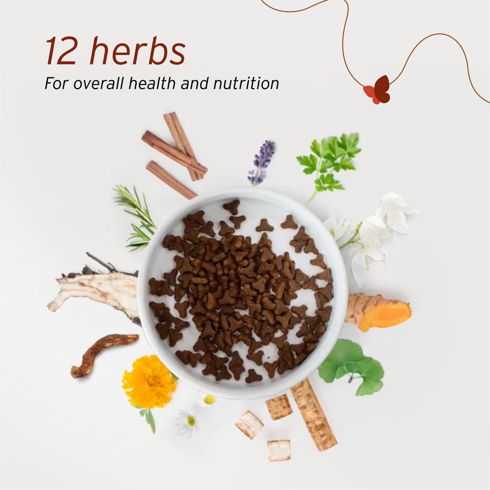 20% OFF: Nurture Pro Nourish Life Chicken Mature 7+ Formula Dry Cat Food