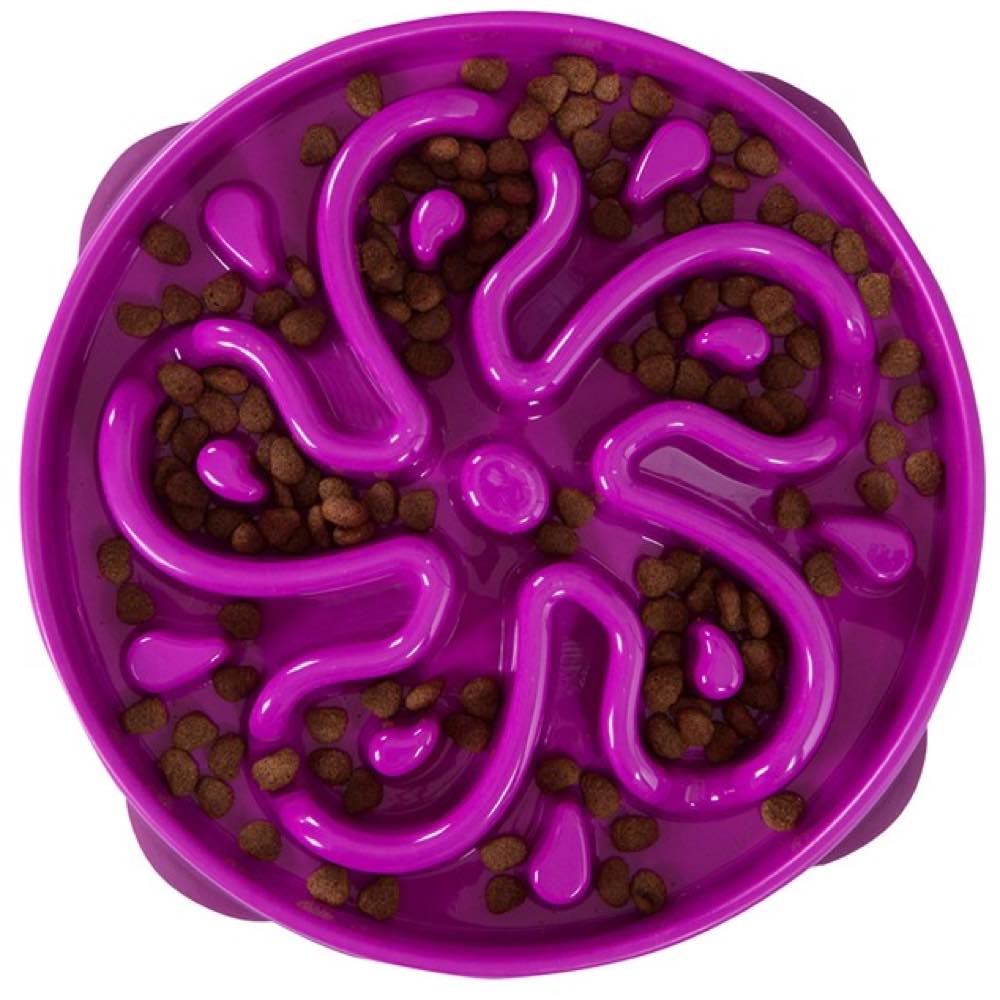 20% OFF: Outward Hound Fun Feeder - Kohepets