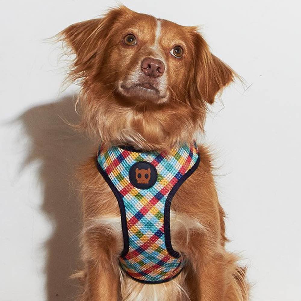 Zee.Dog Phantom Mesh Plus Dog Harness